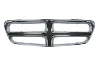 Radiateurgrille 6502070932991P