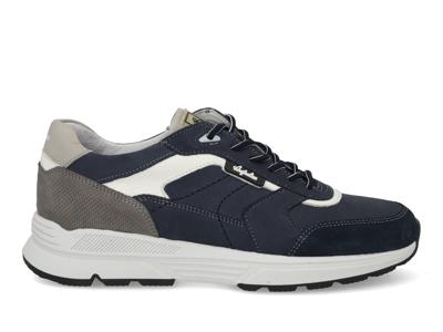 Australian Covilha blue grey white Blauw maat 41
