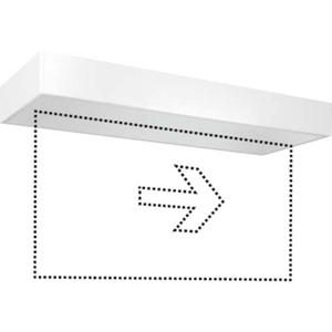 ESYLUX EN10077371 LED-vluchtwegverlichting Energielabel Speciale lamp Plafondmontage Rechts, Links