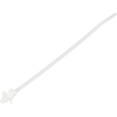 TRU COMPONENTS TC-13030676 TC-WM-115-3.6-N Kabelbinder 155 mm 3.6 mm Natuur Met vleugelsluiting, Chemische bestandigheid 100 stuk(s)