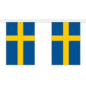 2x Polyester vlaggenlijn van Zweden 3 meter   -