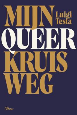 Mijn queer kruisweg - Luigi Testa - ebook