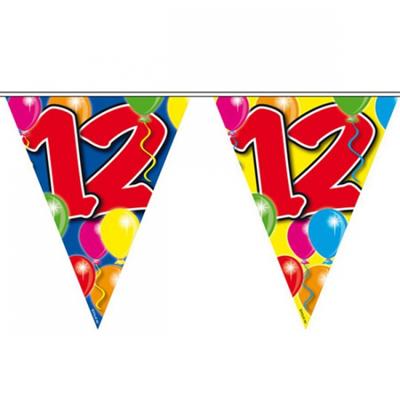 Folat Verjaardagsfeest vlaggen - 12 jaar - Leeftijd vlaggenlijn - kunststof - 10 meter