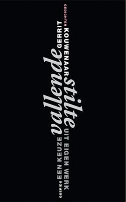 Vallende stilte (Paperback)