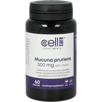 Mucuna pruriens