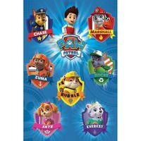 Muur decoratie Paw Patrol