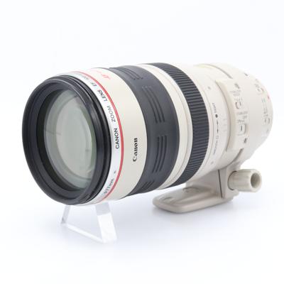 Canon EF 100-400mm F/4.5-5.6 L IS USM (schuifzoom) occasion