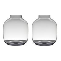 Set van 2x stuks transparante luxe grote vaas/vazen van glas 43 x 38 cm