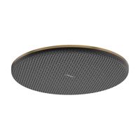 Hansgrohe Raindance alive hoofddouche 300 1 jet Brushed bronze (brons) 24520140