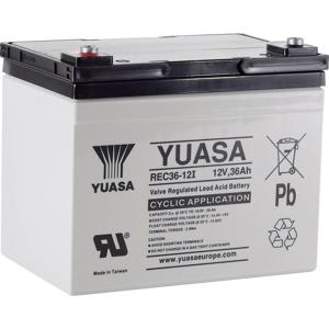 Yuasa REC36-12 Loodaccu 12 V 36 Ah Loodvlies (AGM) (b x h x d) 196 x 169 x 130 mm M5-schroefaansluiting Geringe zelfontlading, Onderhoudsarm, Cyclusbestendig