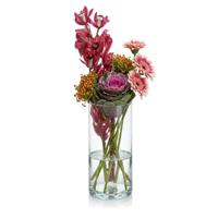 Hakbijl Glass Bloemenvaas - Transparant glas - cilinder - D9 x H19 cm
