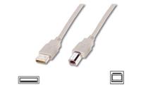 Cable Company USB connection cable USB-kabel 3 m USB A USB B Beige