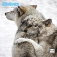 Wolven Kalender 2026