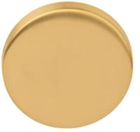 Formani Basics LBB50 blind afdekplaatje - PVD mat goud