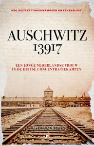 Auschwitz 13917 (Paperback)