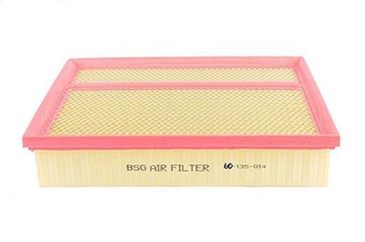 Luchtfilter BSG60135014
