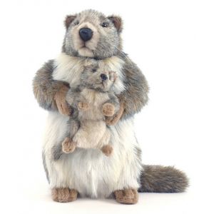 Realistische marmot met kindje knuffel 35 cm   -