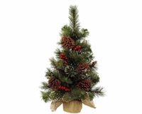 Miniboom bes d40h60 cm groen/wit - Everlands