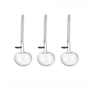 Iittala Kerst 2021 Glazen appel helder set van 3