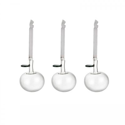 Iittala Kerst 2021 Glazen appel helder set van 3