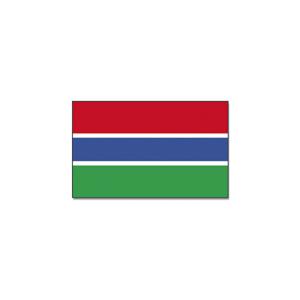 Vlag Gambia van 90 x 150 cm - feestartikelen - Landen thema supporters