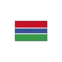 Vlag Gambia van 90 x 150 cm - feestartikelen - Landen thema supporters