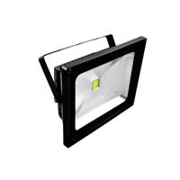 Eurolite LED IP FL-50 LED-floodlight