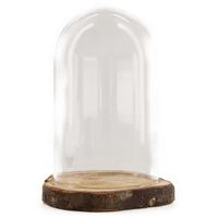 Decoratie stolp - glas - houten bruin boomschijf plateau - D17 x H22 cm