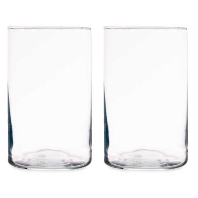 Bloemenvaas - 2x stuks - cilinder vorm - transparant glas - 12 x 20 cm