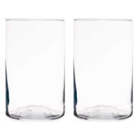 Bloemenvaas - 2x stuks - cilinder vorm - transparant glas - 12 x 20 cm
