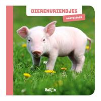 Wins Holland Dierenvriendjes - fotokijkboek babydieren