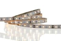 LED strip warmwit wit 3000K 12V dimbaar rol 5M