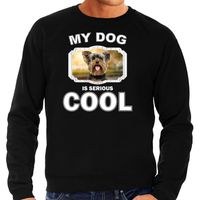 Honden liefhebber trui / sweater Yorkshire terrier my dog is serious cool zwart voor heren - thumbnail