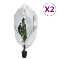 VidaXL Plantenhoezen met ritssluiting 2 st 70 g/m² 1x1,55 m