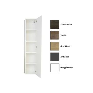 Kolomkast Sanicare Q4/Q15 1 Soft-Closing Deur 160x33,5x32 cm Hoogglans Wit