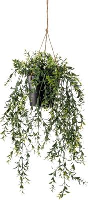 Hangplant met pot 2 - Driesprong collection
