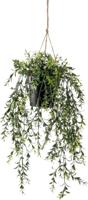 Hangplant met pot 2 - Driesprong collection