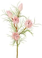 Protea klein Suikerbaard met 3 bloemen & 2 knoppen en 12 plastic bladeren 60 cm - Top art