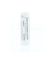 Kalium carbonicum 200K