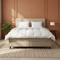 Dekbed Percale Katoen - All Season - 240x200 Cm (Lits-Jumeaux) - Primaviera Deluxe 400 Gsm - Dekbed-Discounter.nl