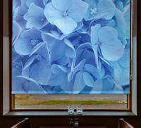 Rolgordijn bloemenprint Hortensia