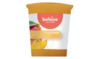 Votive rond 53/45 True Scents Mango - Bolsius - thumbnail