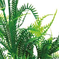 Sf art plant 25 cm microsorum - Superfish