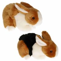 Setje van 2x stuks pluche knuffel konijnen van 20 cm Setje van 2x stuks pluche knuffel konijnen van 20 cm