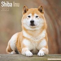 Kalender 2025 Shiba Inu