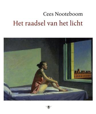 Het raadsel van het licht (Hardback)
