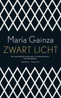 Zwart licht - María Gainza - ebook