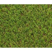 Erba - EXELGREEN - 124414 - Natura 2D - 38 mm / 1 x 5 m