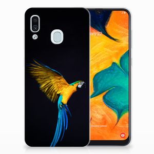 Samsung Galaxy A30 TPU Hoesje Papegaai