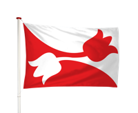 Vlag Nes (Noordoost Friesland)